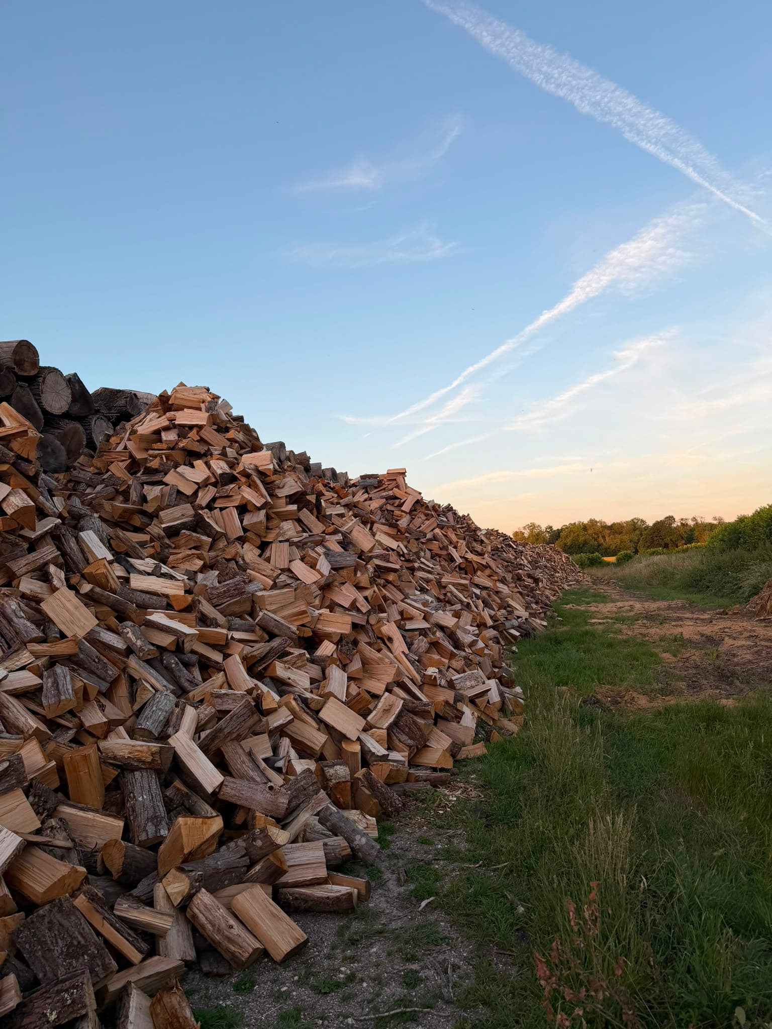 Bois de Chauffage
